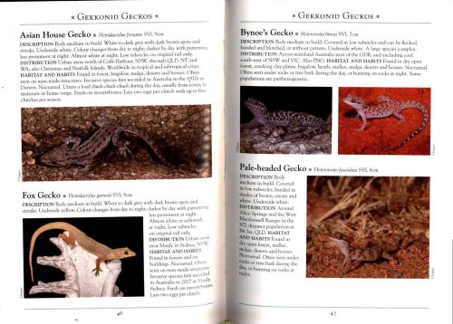 A Naturalist's Guide to the Lizards of Australia - Image 2