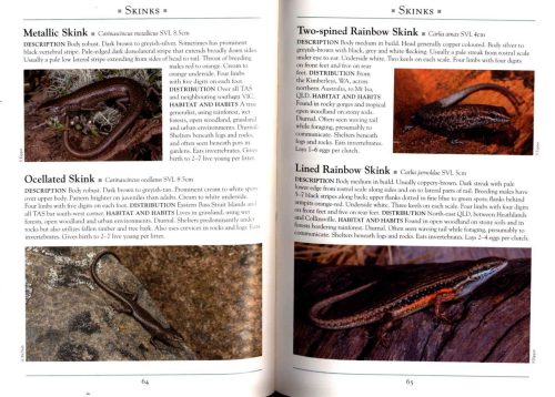 A Naturalist's Guide to the Lizards of Australia - Image 3