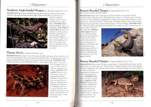 A Naturalist's Guide to the Lizards of Australia - Image 4