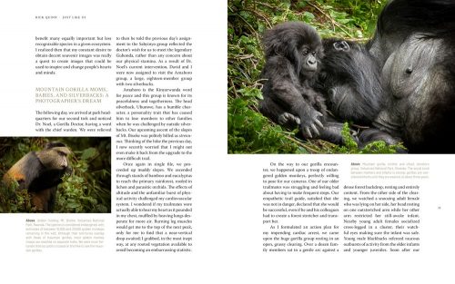 Just Like Us:  A Veterinarian's Visual Memoir of Our Vanishing Great Ape Relatives - Image 4