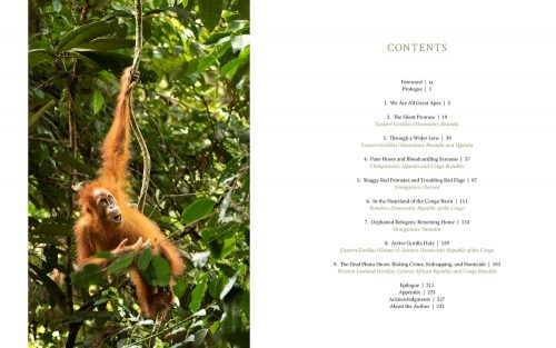 Just Like Us:  A Veterinarian's Visual Memoir of Our Vanishing Great Ape Relatives - Image 3