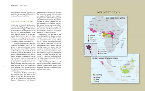 Just Like Us:  A Veterinarian's Visual Memoir of Our Vanishing Great Ape Relatives - Image 2