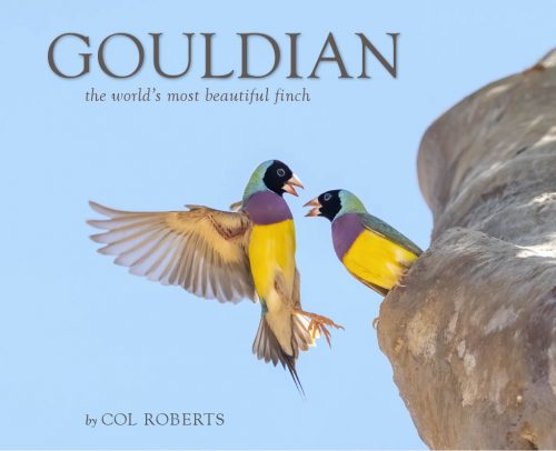 Gouldian:  The World's Most Beautiful Finch