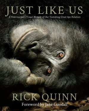Just Like Us:  A Veterinarian's Visual Memoir of Our Vanishing Great Ape Relatives