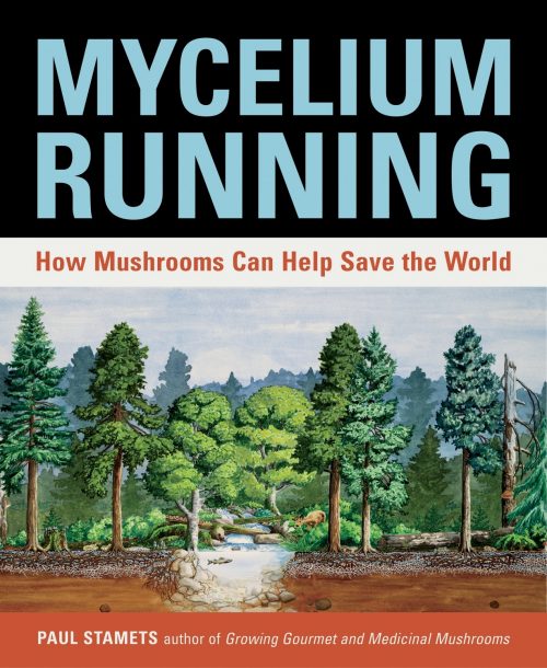 Mycelium Running:  How Mushrooms Can Help Save the World