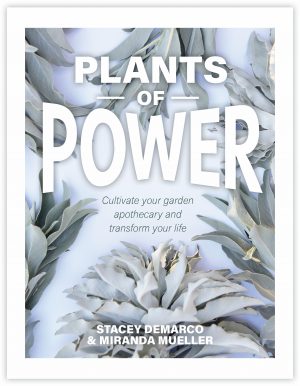 Plants of Power: Cultivate Your Garden Apothecary and Transform Your Life