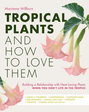 Tropical Plants and How to Love Them: Building a Relationship with Heat-Loving Plants When You Don't Live in the Tropics