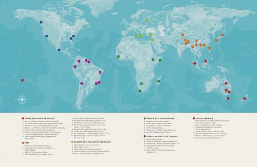 The Plant-Hunter's Atlas: A World Tour of Botanical Adventures, Chance Discoveries and Strange Specimens - Image 3