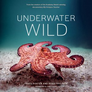 Underwater Wild: My Octopus Teacher’s Extraordinary World