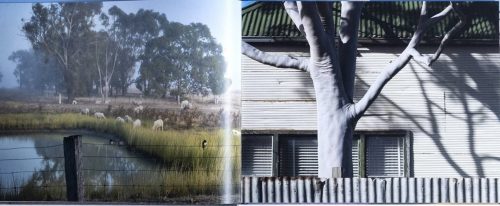 The Wimmera:  A Journey Through Western Victoria - Image 3
