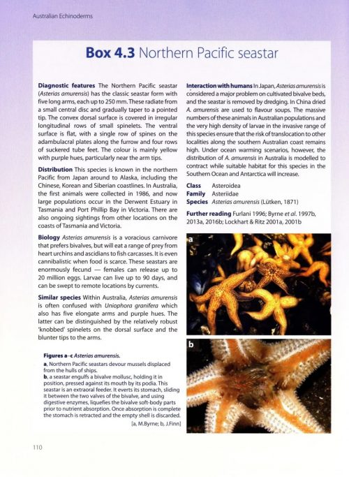 Australian Echinoderms:  Biology, Ecology and Evolution - Image 2