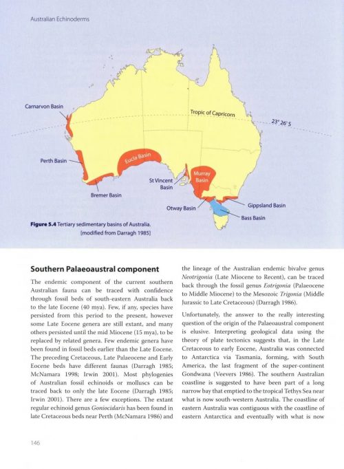 Australian Echinoderms:  Biology, Ecology and Evolution - Image 3