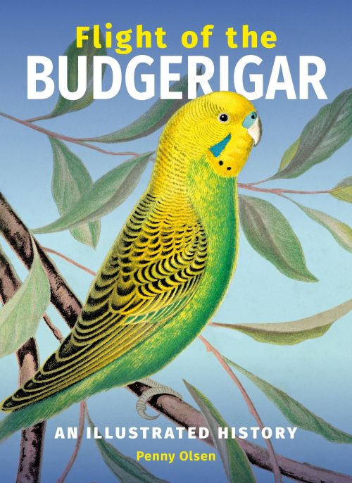 Flight of the Budgerigar: An Illustrated History