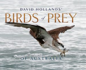 David Hollands’ Birds of Prey Of Australia