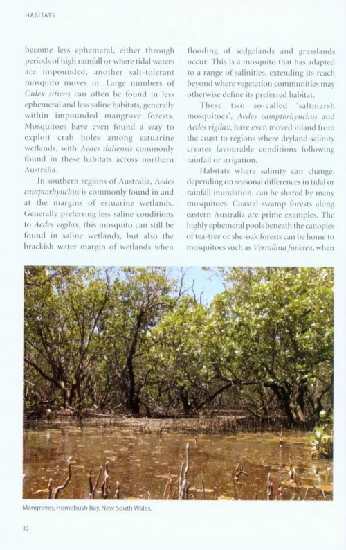 A Guide to Mosquitoes of Australia - Image 5