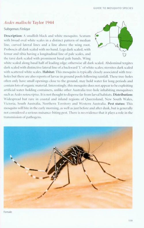 A Guide to Mosquitoes of Australia - Image 3