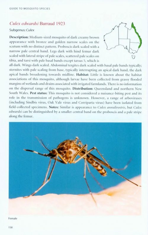 A Guide to Mosquitoes of Australia - Image 4
