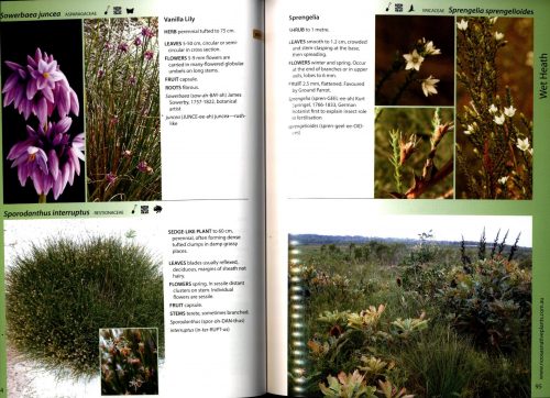 Noosa's Native Plants (Fourth Edition) - Image 2