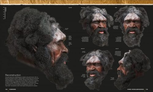 Evolution: The Human Story - Image 5