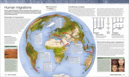 Evolution: The Human Story - Image 2