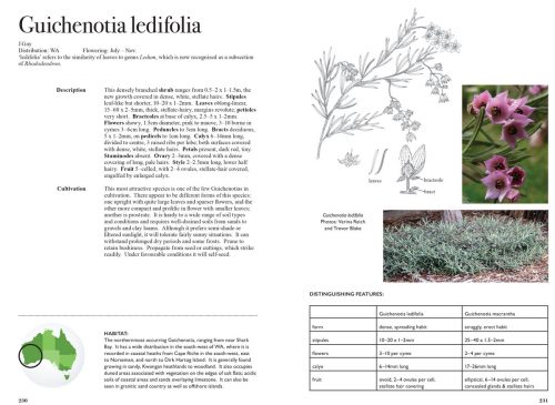 Lantern Bushes of Australia; Thomasias & Allied Genera: A Field and Horticultural Guide - Image 4