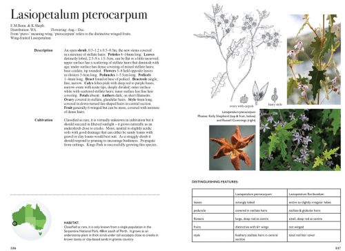 Lantern Bushes of Australia; Thomasias & Allied Genera: A Field and Horticultural Guide - Image 3