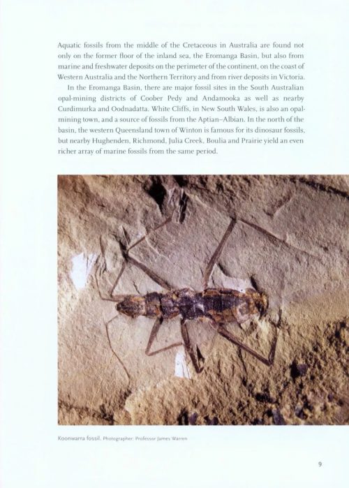 Prehistoric Marine Life in Australia's Inland Sea - Image 4