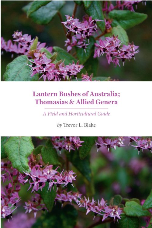 Lantern Bushes of Australia; Thomasias & Allied Genera: A Field and Horticultural Guide