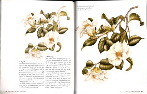 The Art of Botanical Painting - Image 4