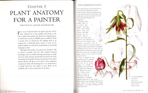 The Art of Botanical Painting - Image 2