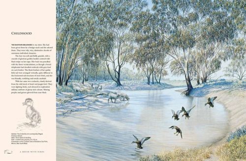 A Brush with Birds: Paintings and Stories from the Wild - Image 2