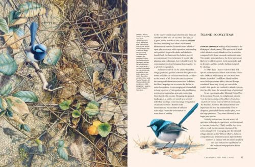 A Brush with Birds: Paintings and Stories from the Wild - Image 4