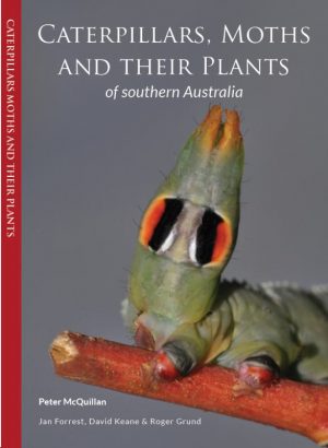 Caterpillars, Moths and Their Plants: of Southern Australia