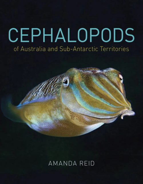 Cephalopods of Australia and Sub-Antarctic Territories