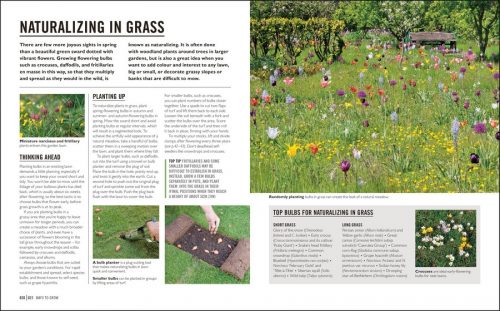 Bulbs: Essential Know-how And Expert Advice For Gardening Success (DK Grow) - Image 5