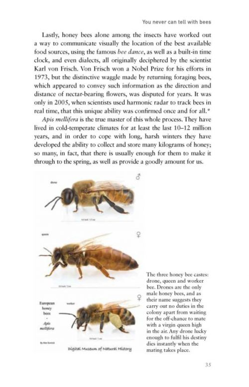 Manuka: The Biography of an Extraordinary  Honey - Image 3