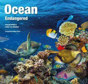 Ocean:  Endangered