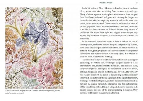 The Seaweed Collector's Handbook: From Purple Laver to Peacock’s Tail - Image 5