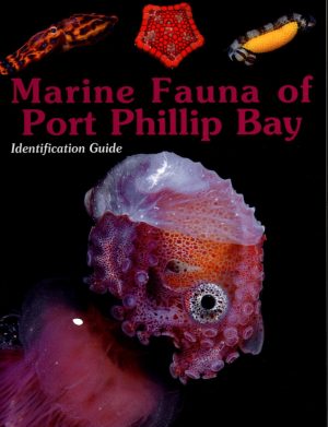 Marine Fauna of Port Phillip Bay:  Identification Guide