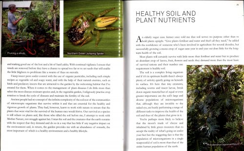 The Practical Gardener's Guide to Trees, Shrubs and Climbers - Image 3