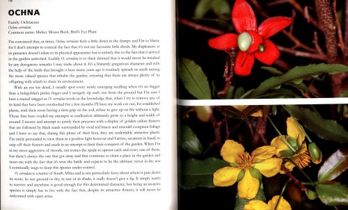The Practical Gardener's Guide to Trees, Shrubs and Climbers - Image 2