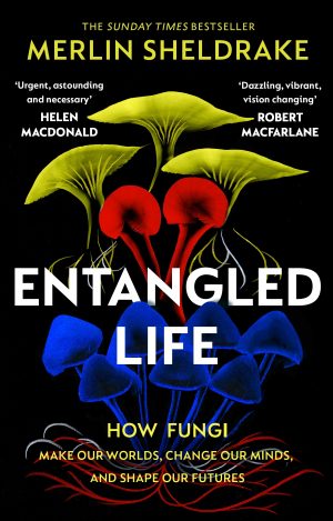 Entangled Life:  How Fungi Make Our Worlds, Change Our Minds and Shape Our Futures (Paperback)