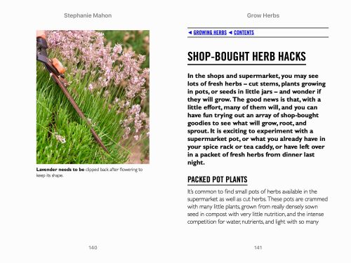 Herbs: Essential Know-how And Expert Advice For Gardening Success (DK Grow) - Image 3