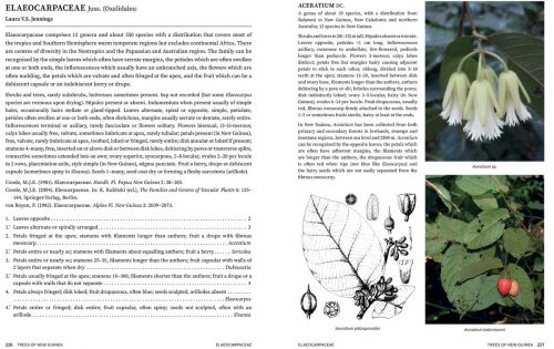 Trees of New Guinea - Image 7