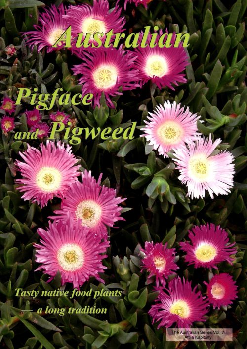 Australian Pigface and Pigweed:  Tasty Native Food Plants - a Long Tradition