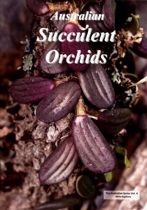 Australian Succulent Orchids