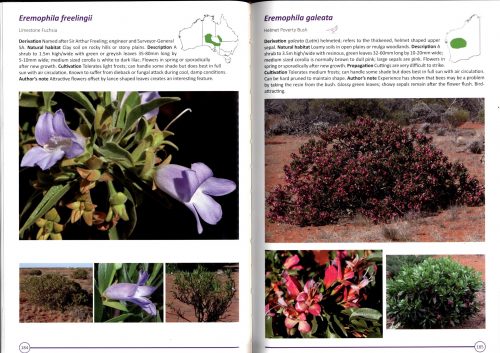 Growing Eremophila - Image 2