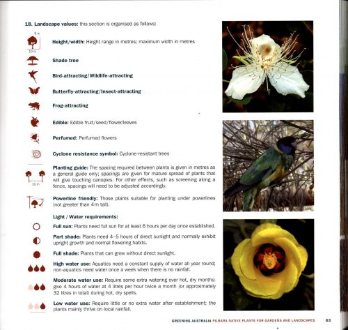 Pilbara Native Plants for Gardens and Landscapes - Image 2