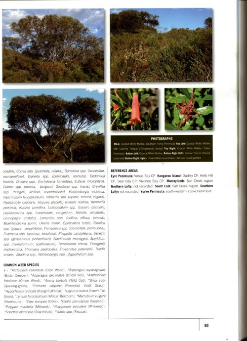 Mangroves to Mallee: The Complete Guide to the Vegetation of Temperate South Australia - Image 3
