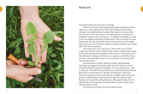 Eat Weeds: A Field Guide to Foraging: How to Identify, Harvest, Eat and Use Wild Plants - Image 3